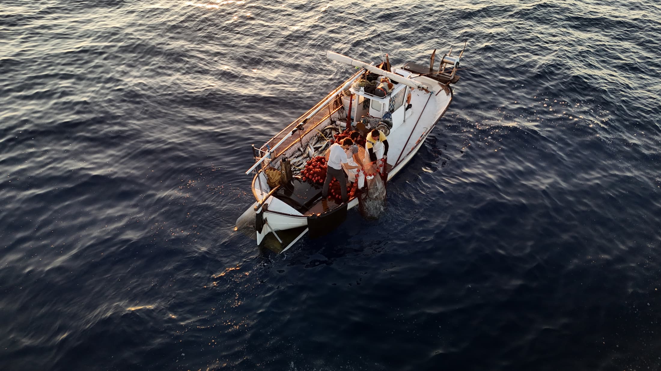 Fishers hauling a net aboard a small boat at sunrise, seen from above